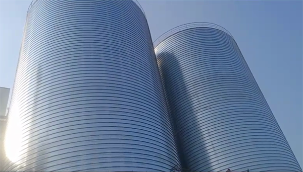 埇桥2座混凝土高架卷板仓